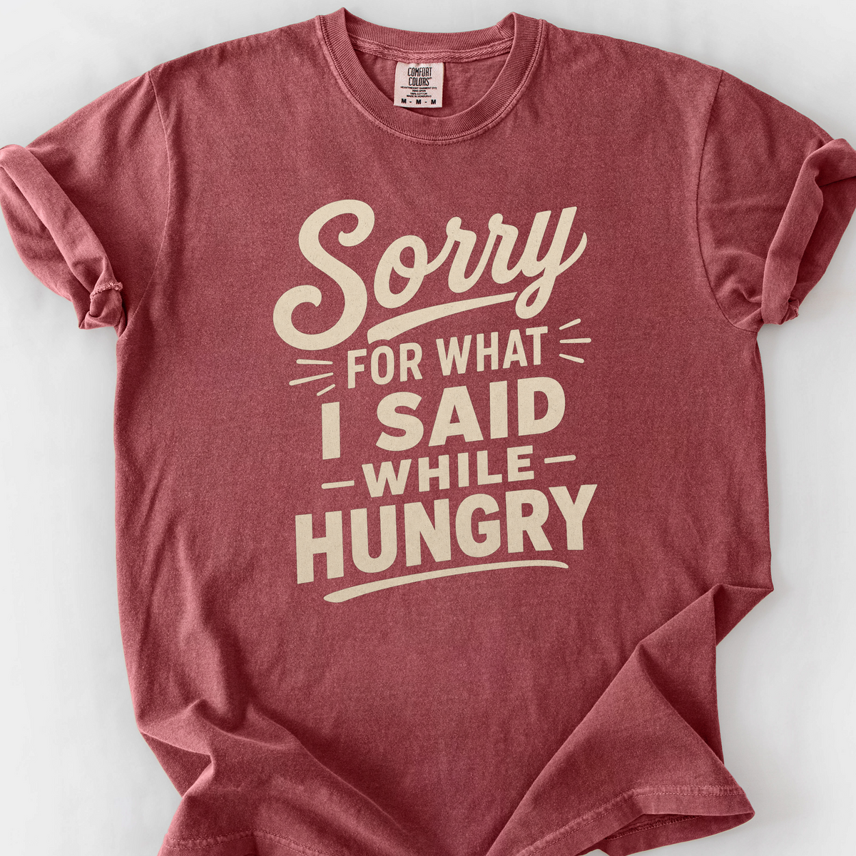Sorry For What I Said While Hungry T-Shirt — Brick