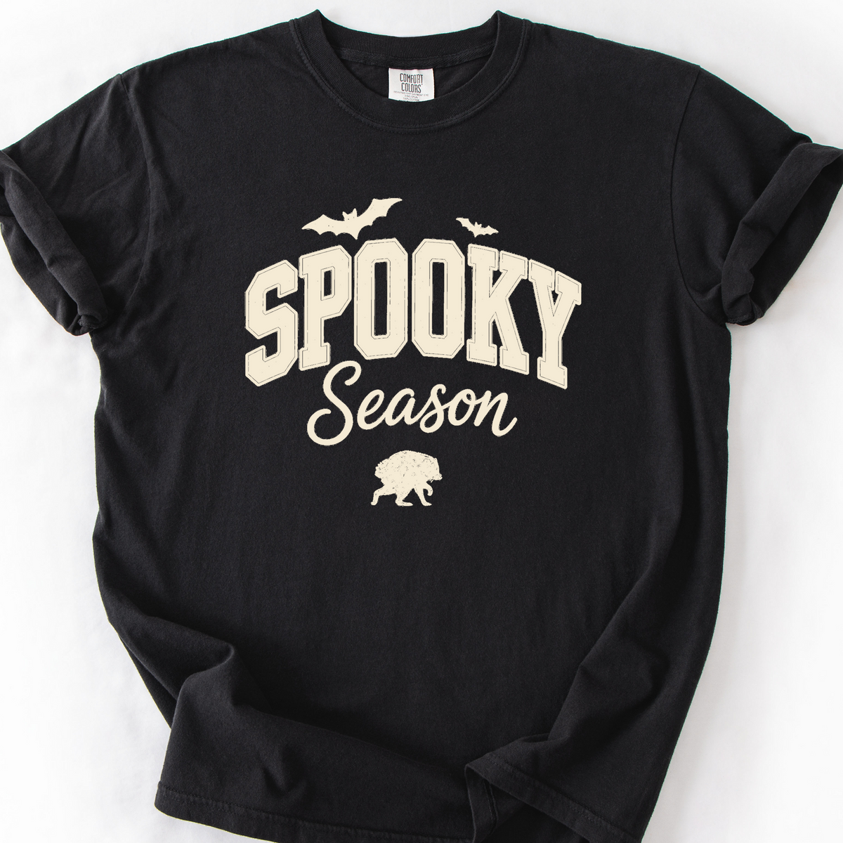 Spooky Season Raccoon T-Shirt — Black