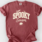 Spooky Season Raccoon T-Shirt — Brick