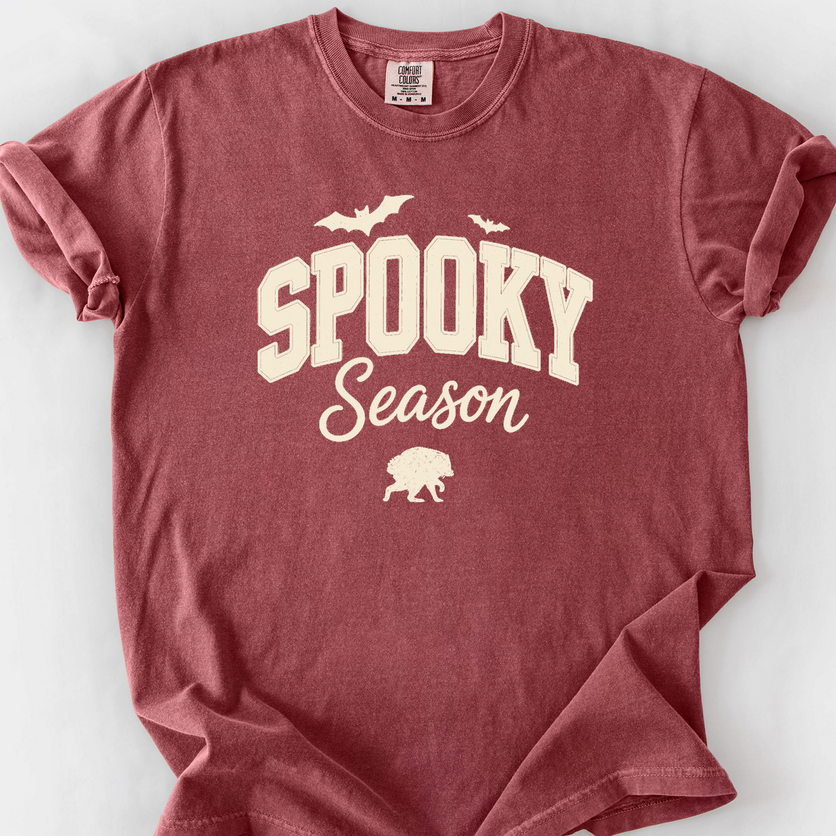 Spooky Season Raccoon T-Shirt — Brick