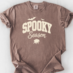 Spooky Season Raccoon T-Shirt — Espresso