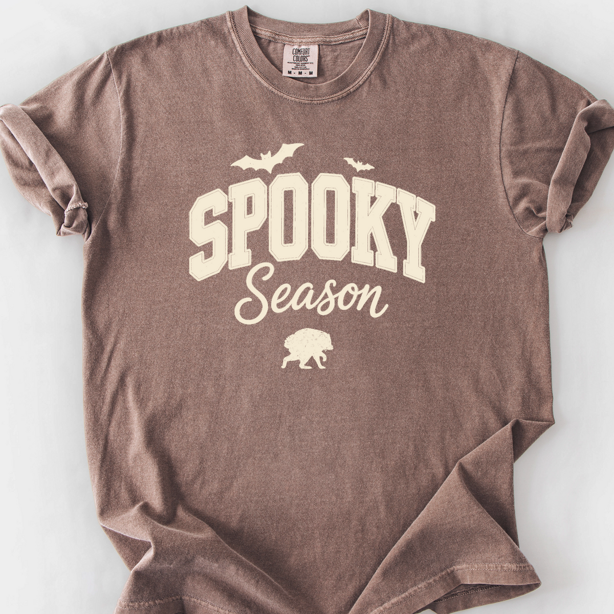 Spooky Season Raccoon T-Shirt — Espresso