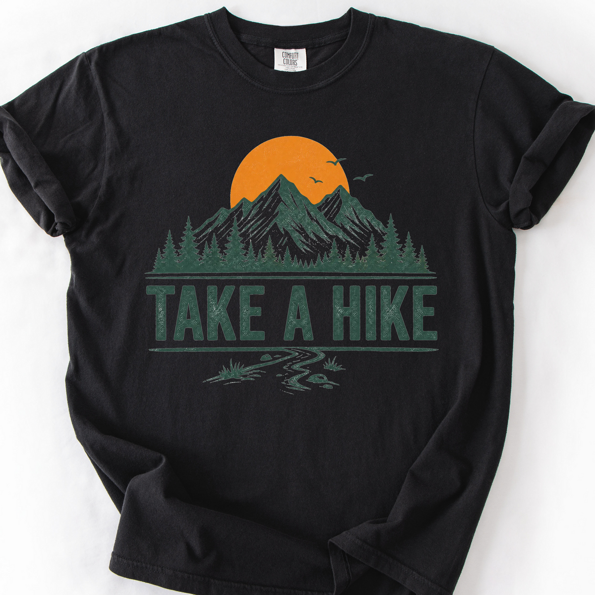 Take A Hike Mountains T-Shirt — Black