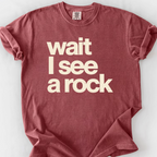 Wait I See A Rock T-Shirt — Brick